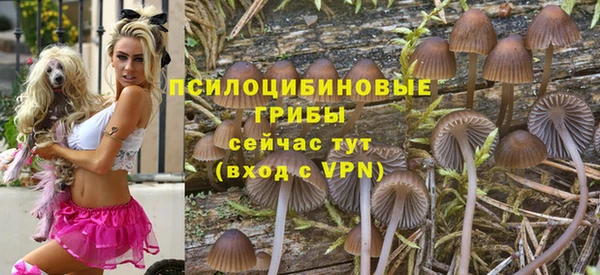 амф Россошь