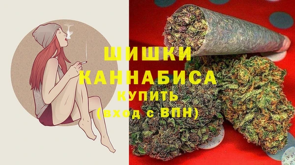 амф Россошь