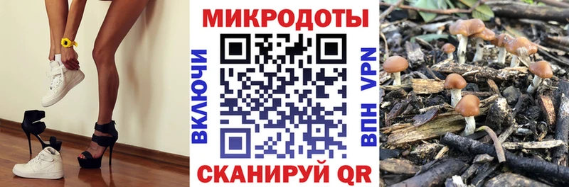 Галлюциногенные грибы ЛСД  даркнет сайт  Ачхой-Мартан 
